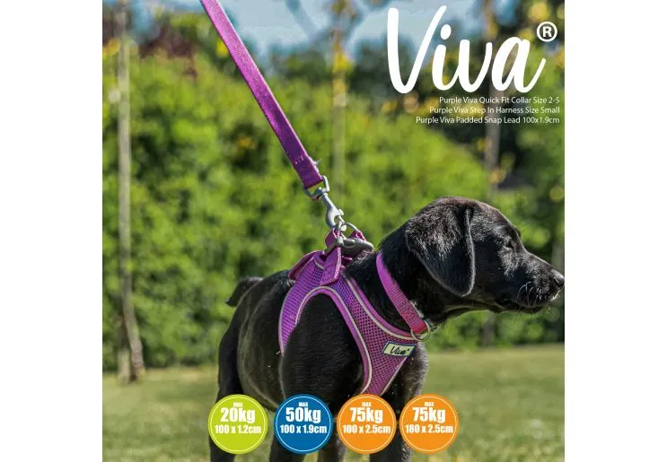 Ancol - Viva Nylon Padded Snap Lead - Pink - 100cm x 25mm (Max 75kg)