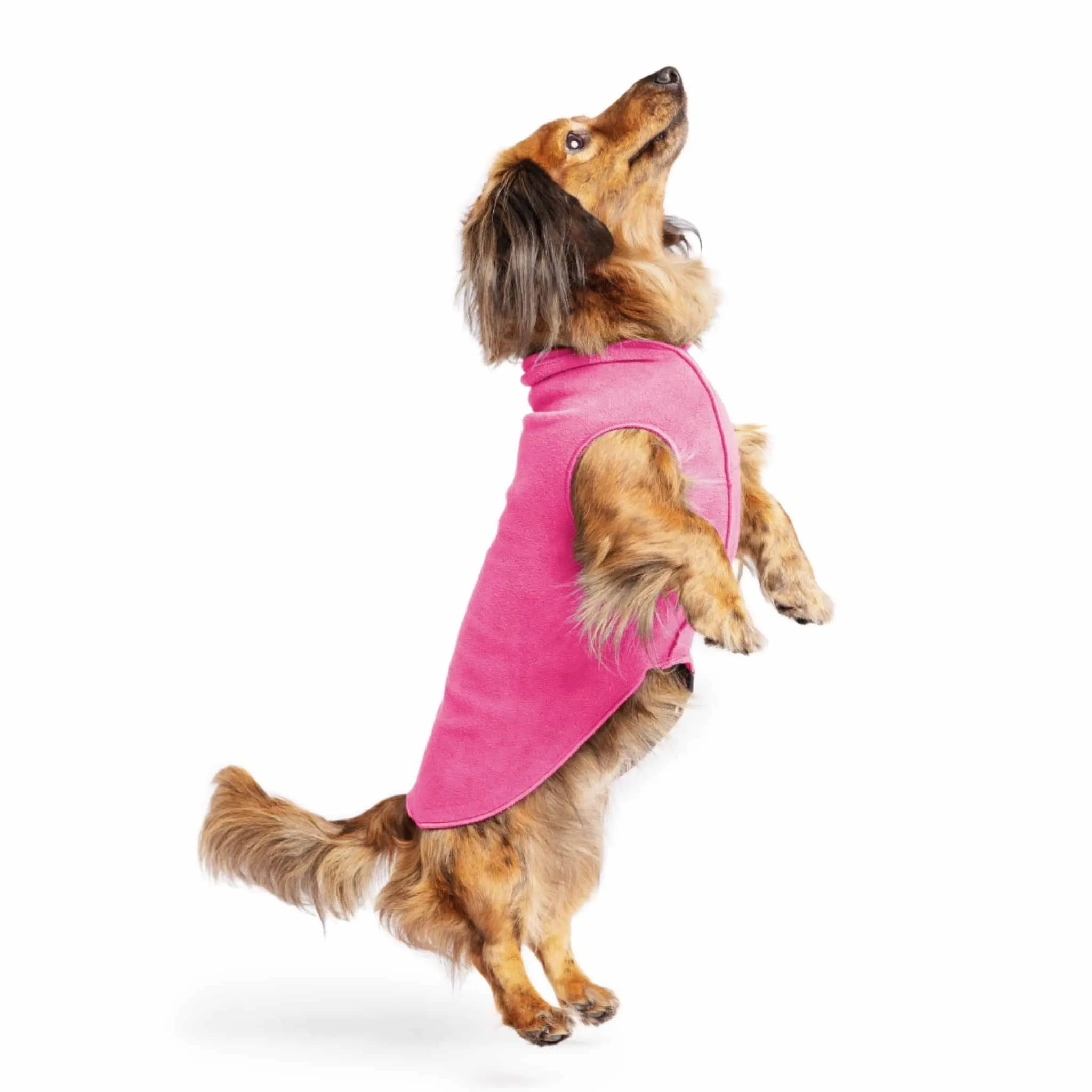 Gold Paw Series Stretch Fleece for Small Dogs