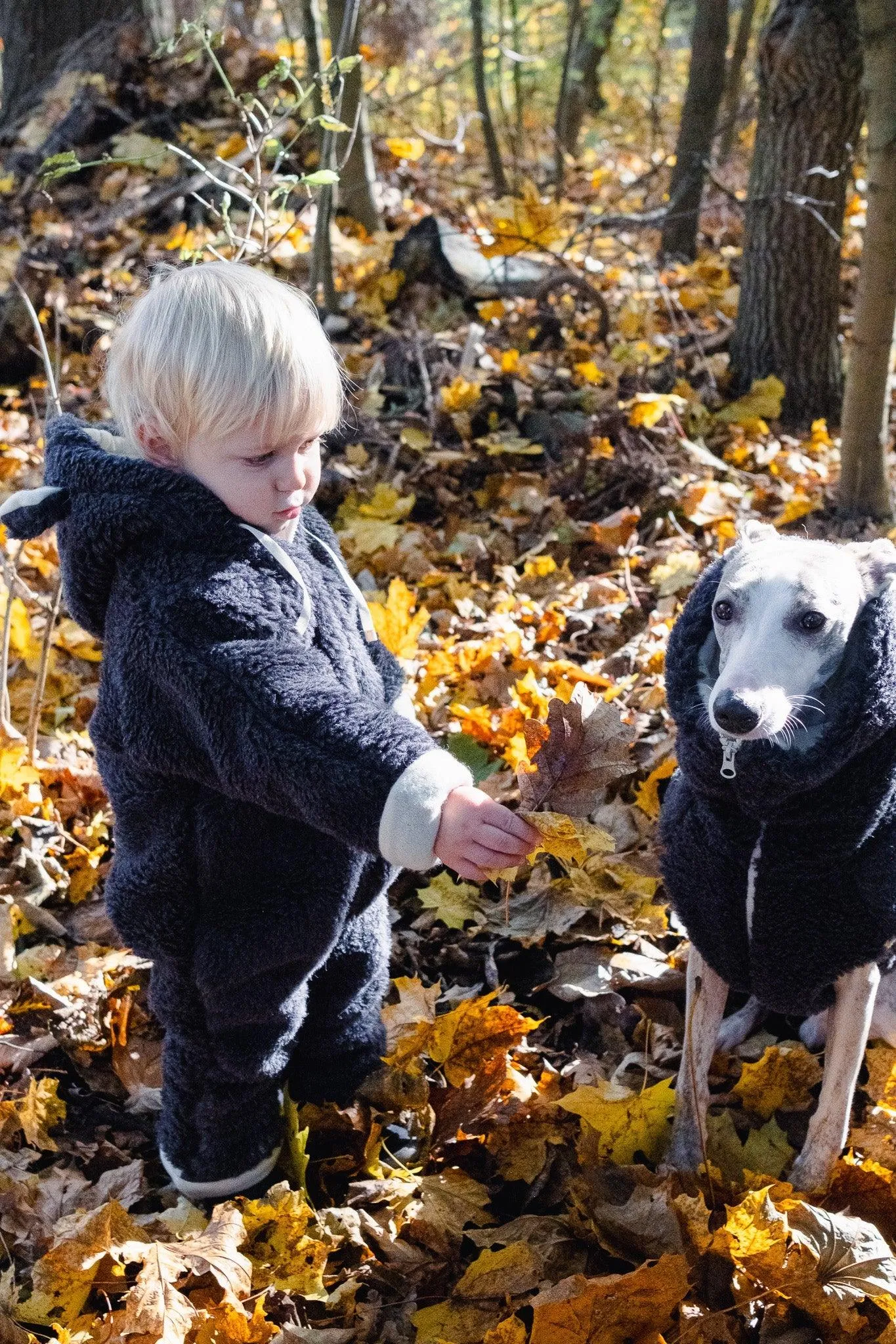 Woolen Dog Vest - Charcoal